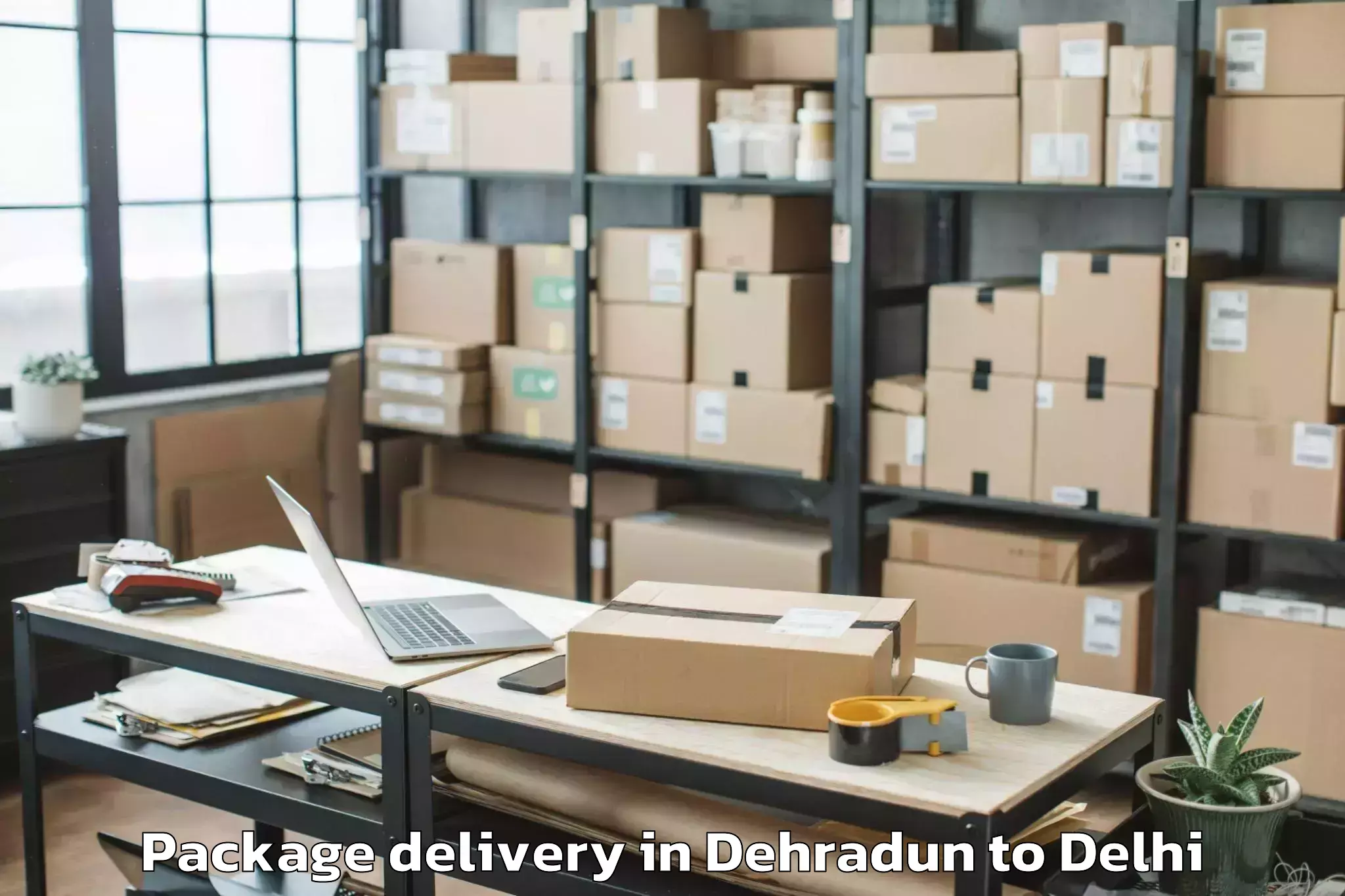 Trusted Dehradun to Rajouri Garden Package Delivery